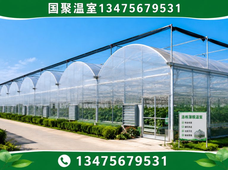 昌邑市连栋薄膜温室展示图